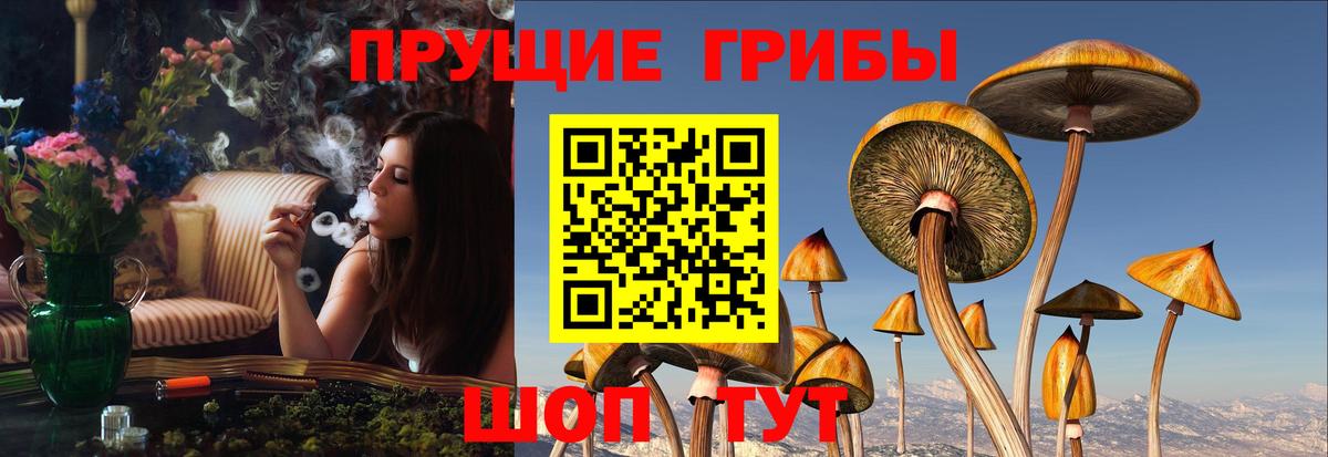 Галлюциногенные грибы Magic Shrooms Орёл