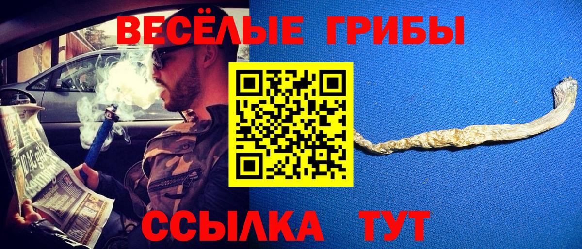 Орёл  Галлюциногенные грибы Psilocybine cubensis  Вход с VPN 